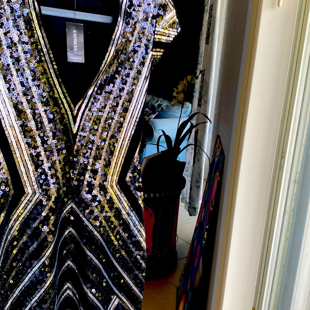 EXPRESS sequin dress XS (Express XS is more like a S at other stores).